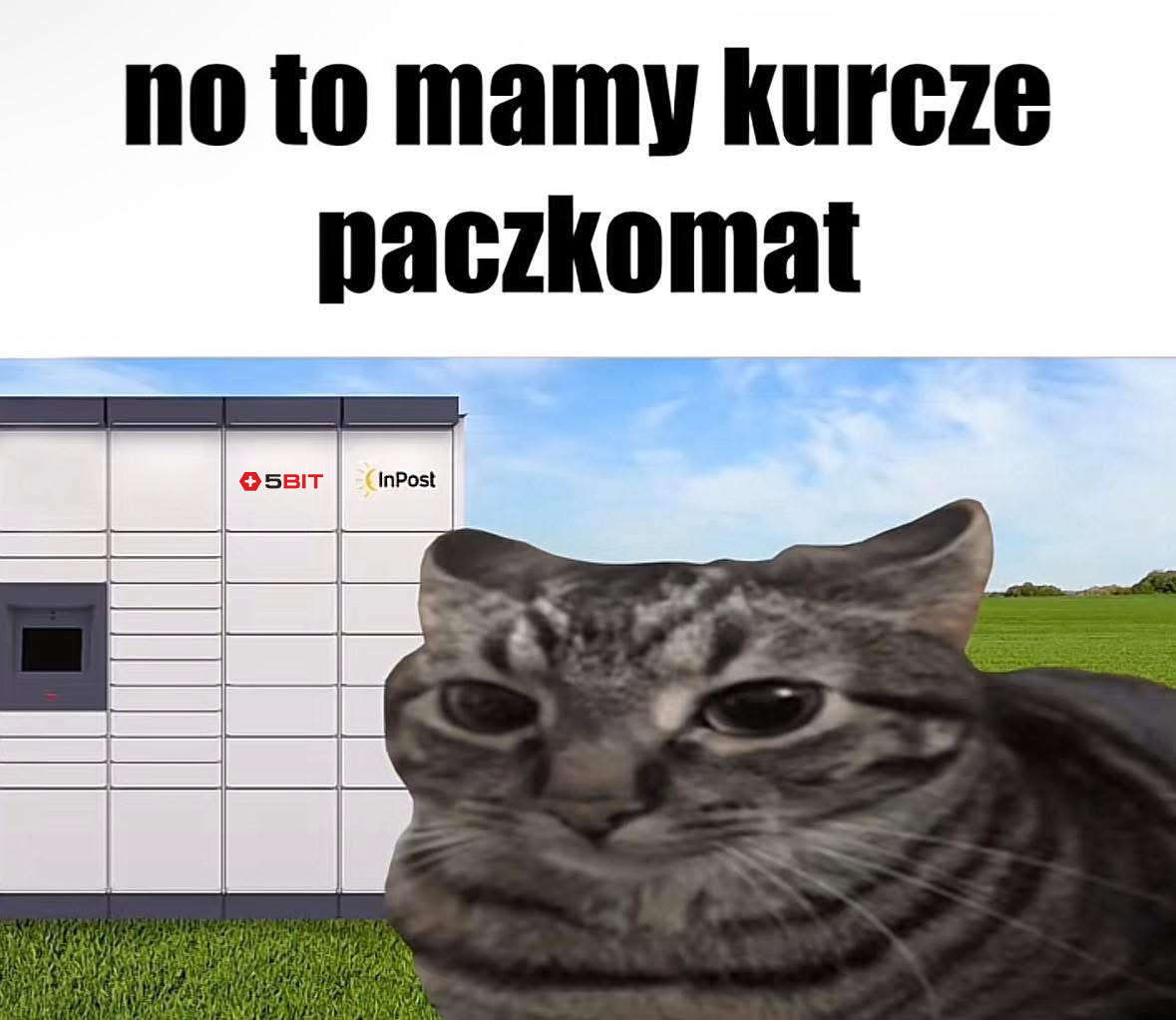 Jak wybrać system drzwi przesuwnych? Kompletny poradnik